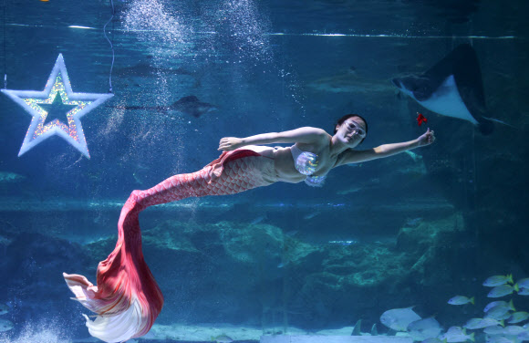 아름다운 인어의 몸짓