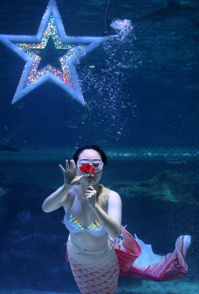 아름다운 인어의 몸짓