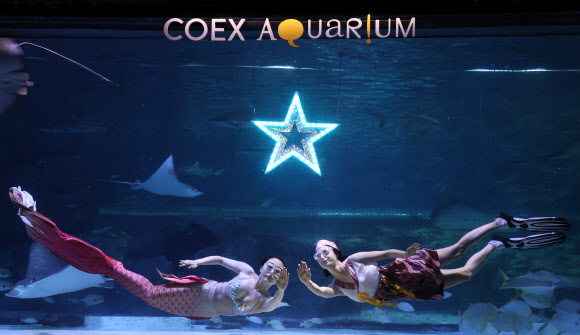 코엑스 아쿠아리움, 추석 맞이 특별공연