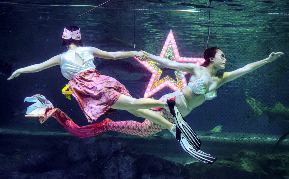 코엑스 아쿠아리움, 추석 맞이 특별공연