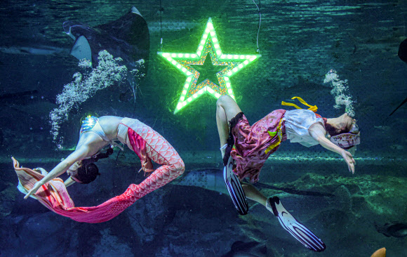 코엑스 아쿠아리움, 추석 맞이 특별공연