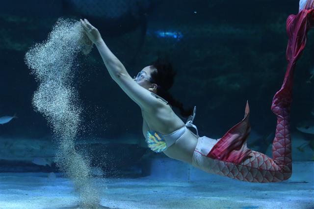 코엑스 아쿠아리움, 추석 맞이 특별 공연