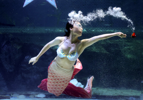 아름다운 인어의 몸짓