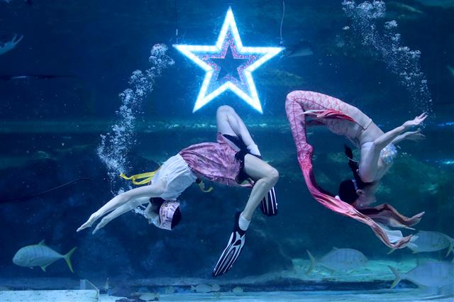 코엑스 아쿠아리움, 추석 맞이 특별 공연