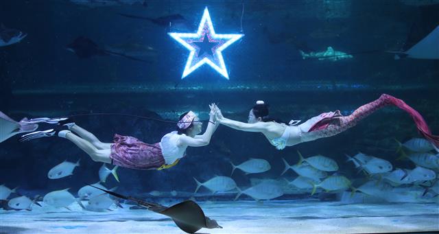 코엑스 아쿠아리움, 추석 맞이 특별 공연