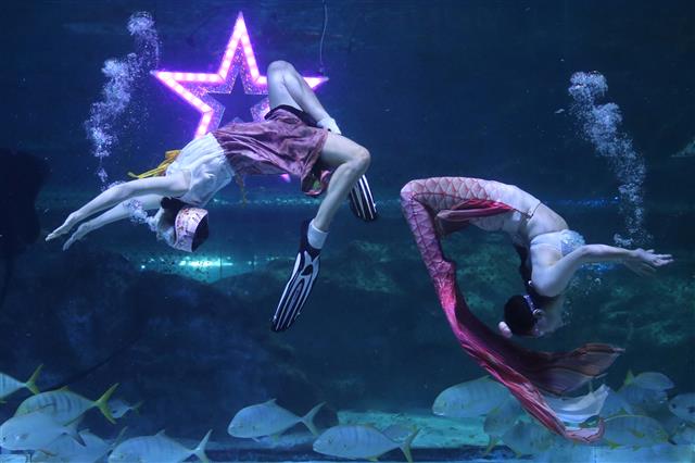 코엑스 아쿠아리움, 추석 맞이 특별 공연