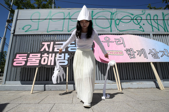 27일 오후 서울 용산구 녹사평역 광장에서 열린 2022 서울동물권행진에서 비건 무당 홍칼리 등 퍼포머들이 진혼춤 퍼포먼스를 하고 있다. 2022.08.27 뉴시스