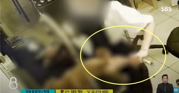 경남 창원 한 애견 미용실 직원 A씨가 강아지들을 학대하는 장면. SBS 보도 화면 캡처