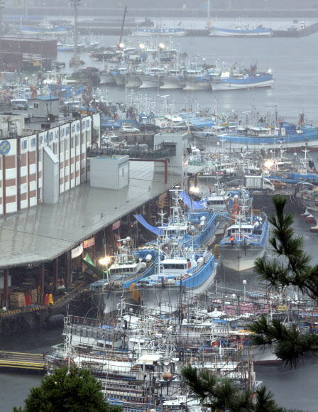 태풍 힌남노가 한반도를 향해 북상하는 가운데 2일 오전 제주 서귀포항에 어선들이 대피해 있다. 2022.9.2 연합뉴스