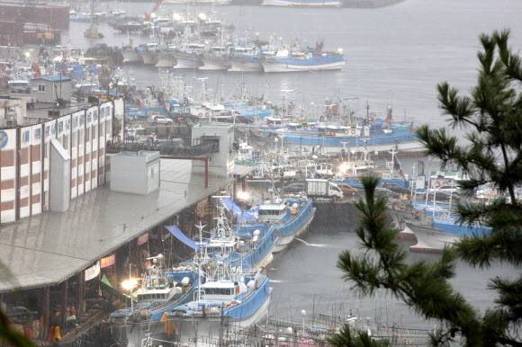 태풍 힌남노가 한반도를 향해 북상하는 가운데 2일 오전 제주 서귀포항에 어선들이 대피해 있다. 연합뉴스 