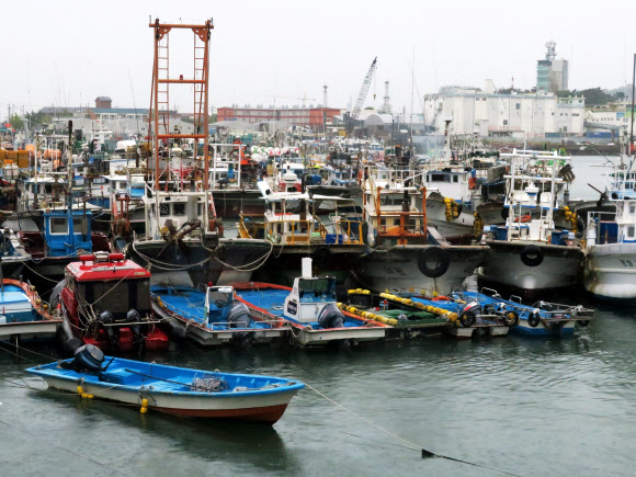 제11호 태풍 ‘힌남노’(HINNAMNOR)가 북상중인 5일 오전 인천 중구 연안부두에 어선들이 태풍을 피해 정박해 있다. 기상청에 따르면, 힌남노는 이날 오전 7시 기준 서귀포 남남서쪽 약 460㎞ 해상에서 시속 19㎞로 북상하고 있다. 태풍의 중심기압은 935hPa(헥토파스칼), 강풍반경은 430㎞, 최대풍속은 초속 49m(시속 176㎞)로 ‘매우 강’ 단계다. 2022.09.05. 뉴시스