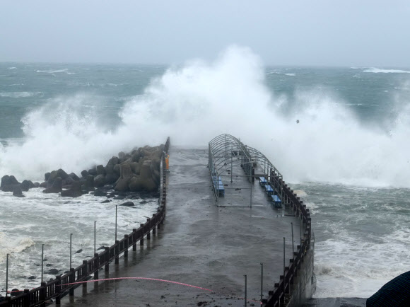 5일 오전 서귀포시 대정읍 방파제에 너울성 파도가 일고 있다. 이날 기상청은 제11호 태풍 힌남노가 북상함에 따라 제주 전역에 태풍경보를 발효했다. 2022.09.05. 뉴시스
