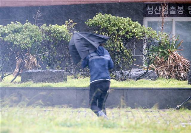 ‘강풍에 구겨진 우산’