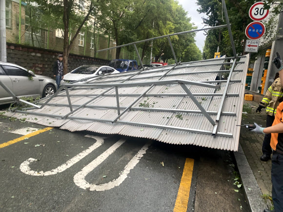 도로에 떨어진 낙하물