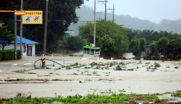 물에 잠긴 포항 장기면