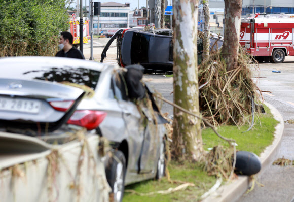 전쟁터 같은 포항 시내