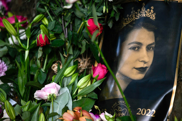 지난 8일 서거한 영국 엘리자베스 2세 여왕의 초상화가 11일(현지시간) 영국 런던 버킹엄궁 정문 앞에 여왕을 추모하는 장미꽃과 함께 놓여 있다.  런던 AFP 연합뉴스