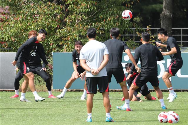 분위기 좋은 벤투호