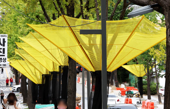 은행 열매 악취를 잡아라