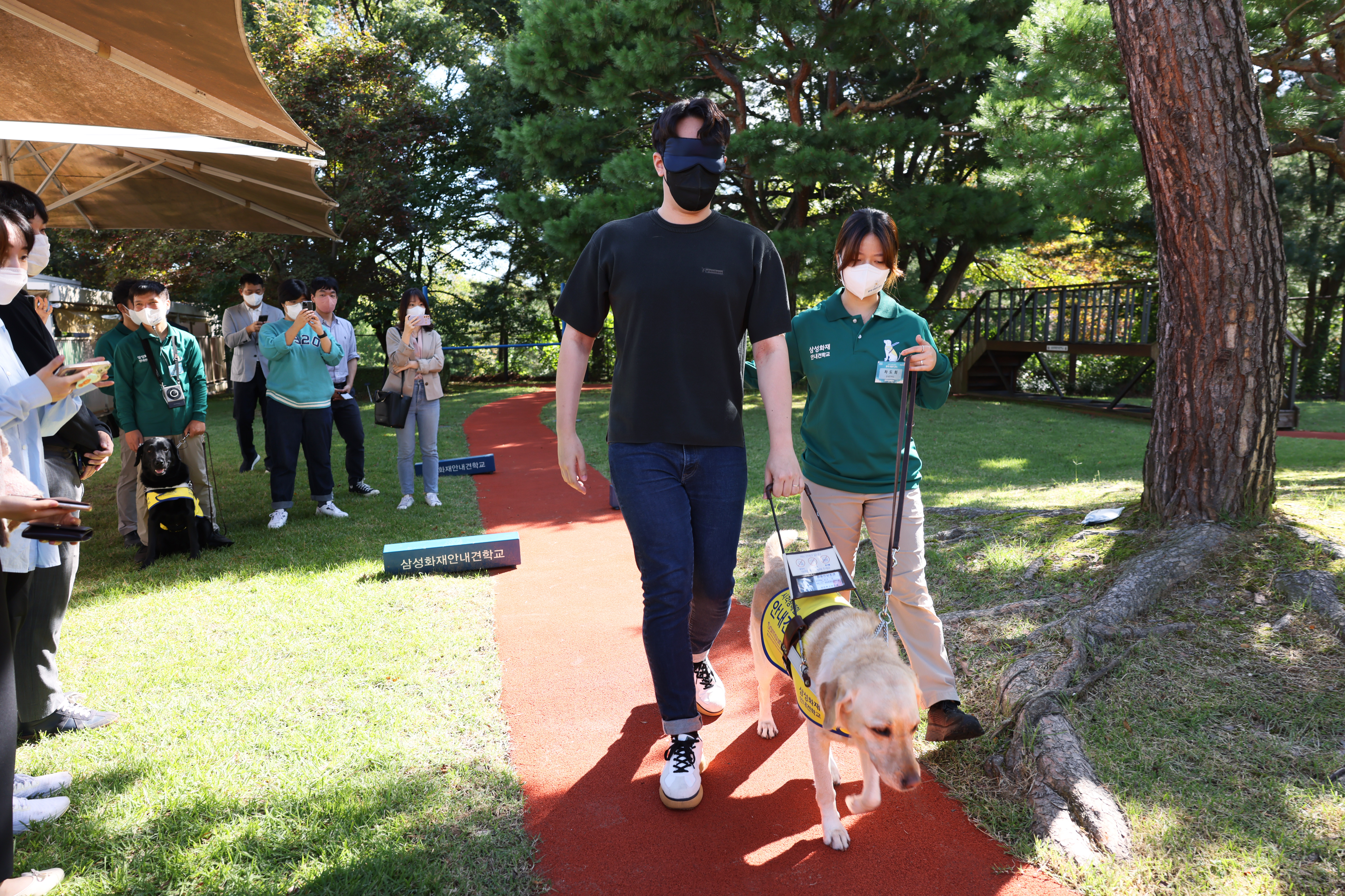 지난 20일 경기도 용인의 삼성화재 안내견학교에서 기자가 직접 안대를 쓰고 안내견 ‘지니’와 보행 체험을 하고 있다. 삼성전자 제공