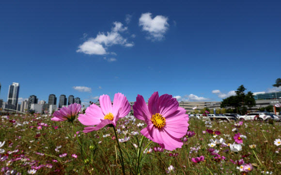 푸른 하늘에 구름 살짝