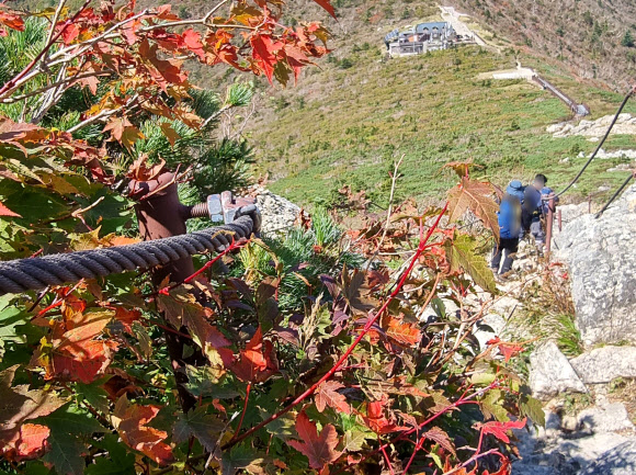 반가운 설악산 단풍