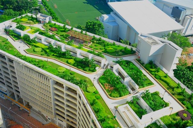 기후변화에 특히 취약한 도시를 보호하기 위해 도심 녹지를 확대하려는 시도가 늘고 있지만 도시 식물 절반 이상이 이미 기후변화 대응력을 상실했을 수 있다는 연구 결과가 나왔다. 싱가포르 국립공원국 제공