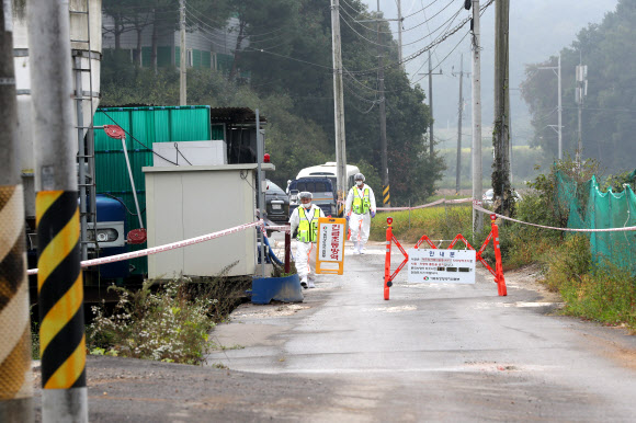 파주 접경지에서 ASF발생