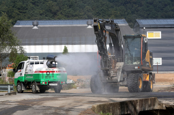 파주 접경지에서 ASF발생