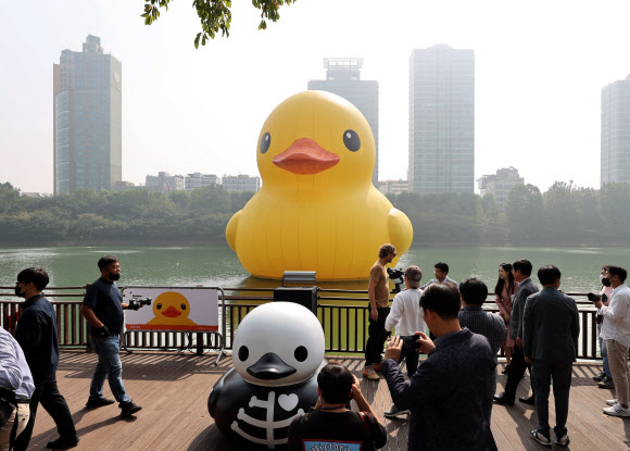 29일 오전 서울 송파구 석촌호수 동호에 러버덕이 설치돼 있다. 롯데월드타워가 송파구청과 함께 진행하는 이번 러버덕 전시는 플로렌타인 호프만 작가가 제작한 작품으로 10월 31일까지 전시된다. 2022.9.29  연합뉴스