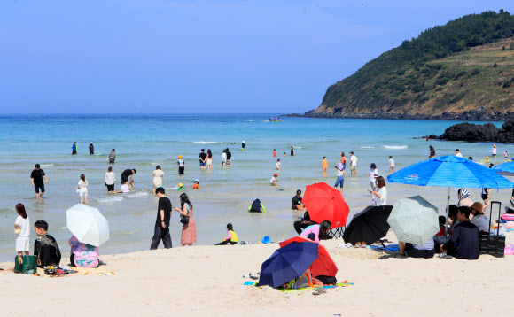 제주는 다시 여름이 온 듯