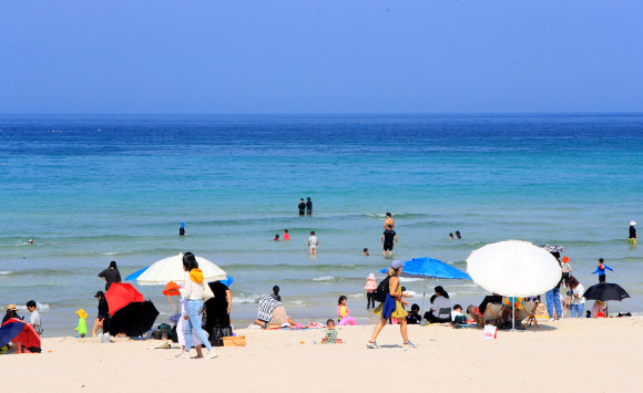 제주는 다시 여름이 온 듯