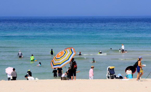 제주는 다시 여름이 온 듯