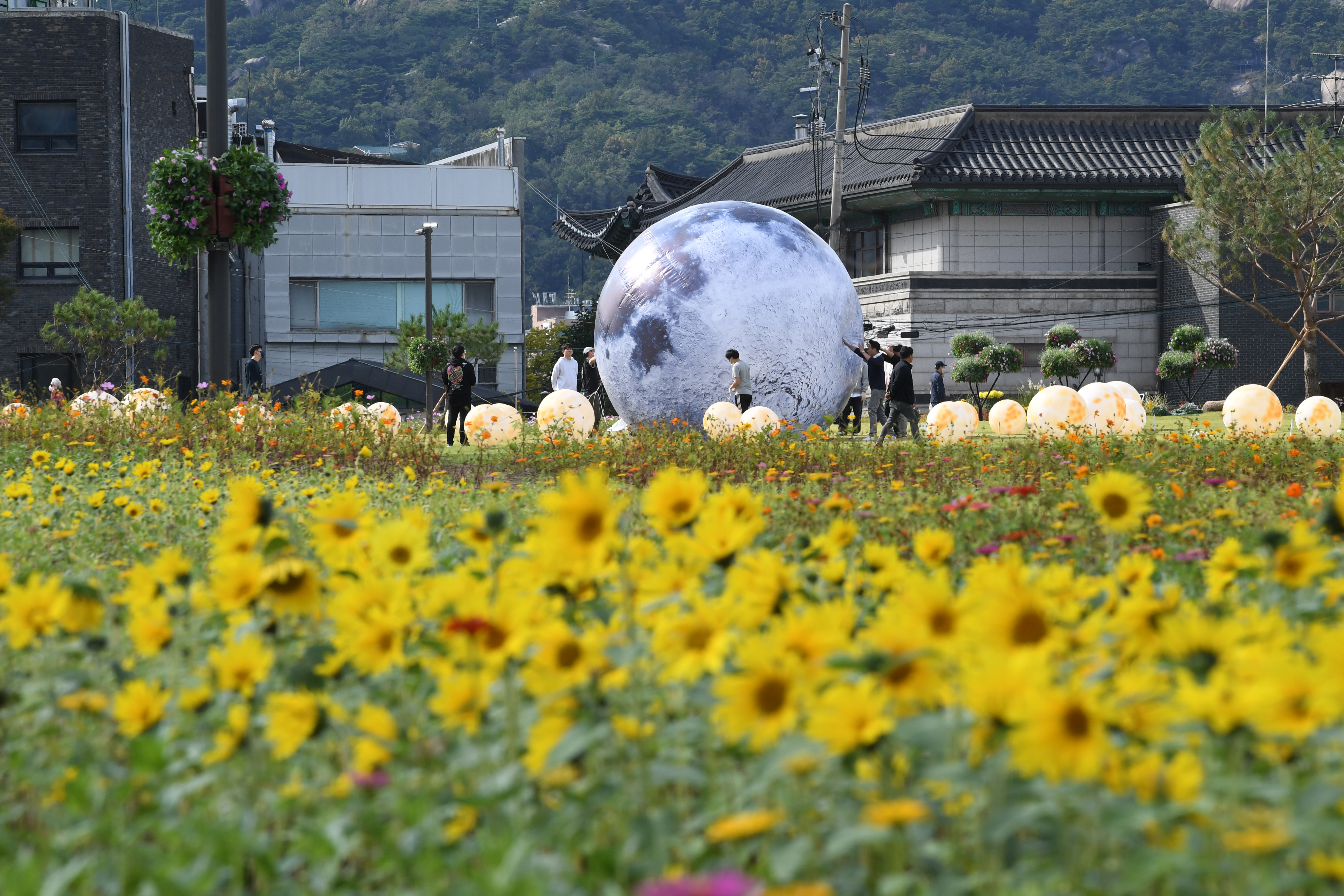 중앙잔디광장에 대형 달을 형상화한 지름 5m 크기의 달과 애기해바라기. 2022.10.6. 도준석 기자
