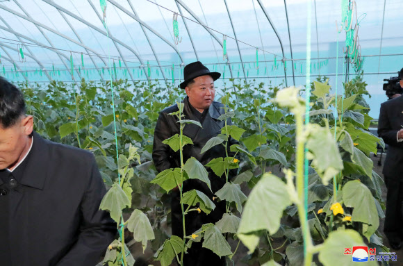 김정은 북한 국무위원장이 노동당 창건일인 10일 함경남도 함주군 연포지구의 대규모 남새(채소)생산기지인 연포온실농장 준공식에 참석해 몸소 준공 테이프를 끊었다고 조선중앙통신이 11일 보도했다. 2022.10.11  평양 조선중앙통신·연합뉴스