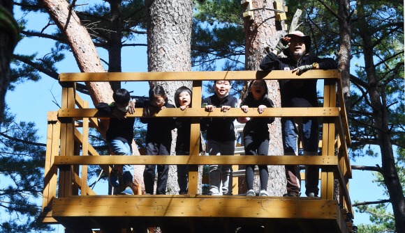집라인을 타기 위해 설치된 6m 높이의 타워 정상에서 아이들과 이안쌤이 숲을 바라보고 있다.