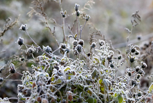 계절이 앞서가는 대관령