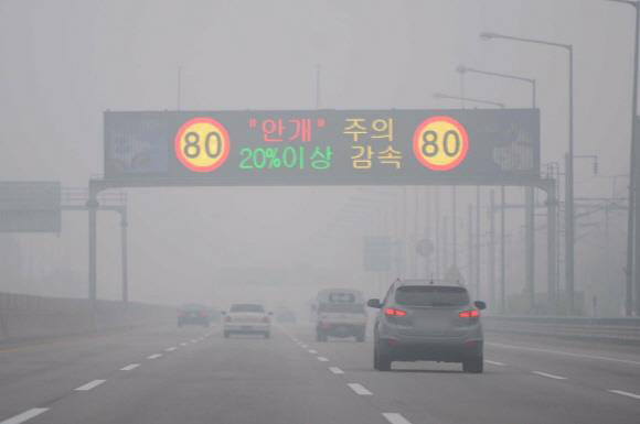‘하얀 암흑’으로 불리는 안개가 짙게 낀 도로에서는 눈앞의 속도 경고판조차 희미하게 보인다. 서울신문 DB