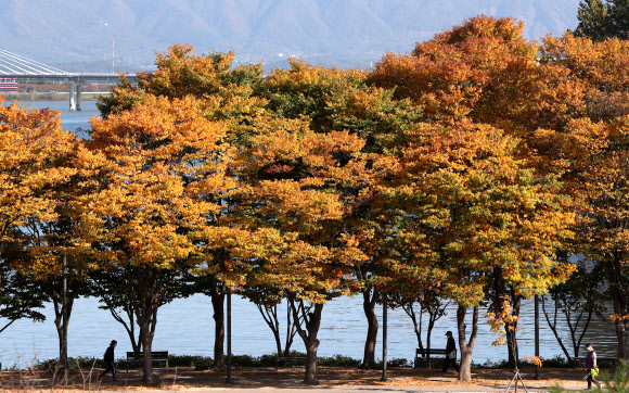 깊어가는 춘천의 가을