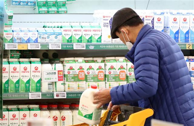 밀크플레이션 온다… 새달 우유값 인상