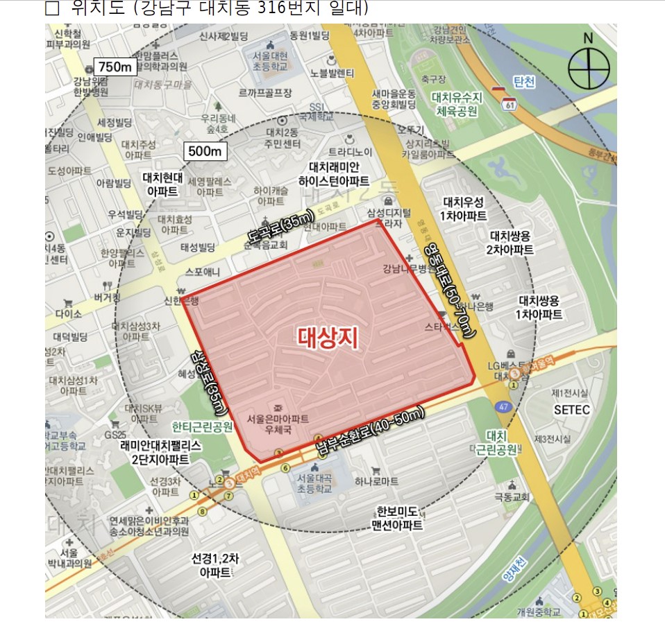 　19일 서울시 도시계획위원회 심의를 통과한 서울 강남구 은마아파트 주택 재건축정비계획 수립 및 정비구역 지정·경관심의안의 대상지 지도.  　서울시 제공