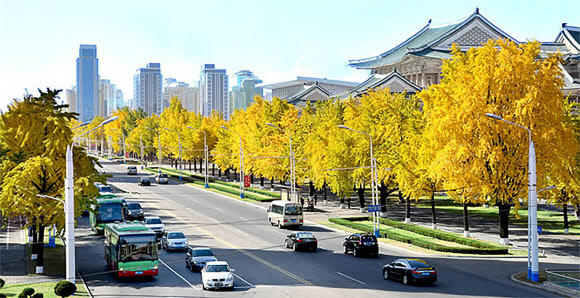 사계절중 제일 장관이라는 단풍계절이 평양의 이르는 곳마다에 황홀하게 펼쳐졌다고 대외선전매체 내나라가 20일 전했다. 2022.10.20  내나라 홈페이지 캡처