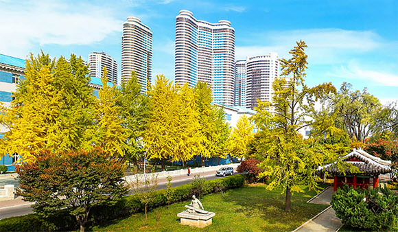 사계절중 제일 장관이라는 단풍계절이 평양의 이르는 곳마다에 황홀하게 펼쳐졌다고 대외선전매체 내나라가 20일 전했다. 2022.10.20  내나라 홈페이지 캡처