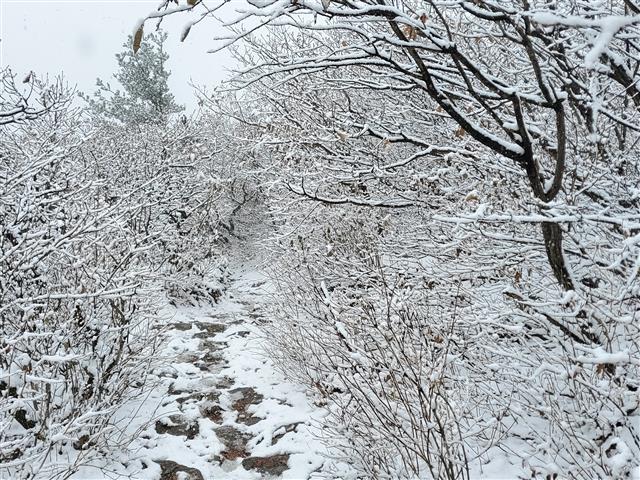 오대산 가을 설경