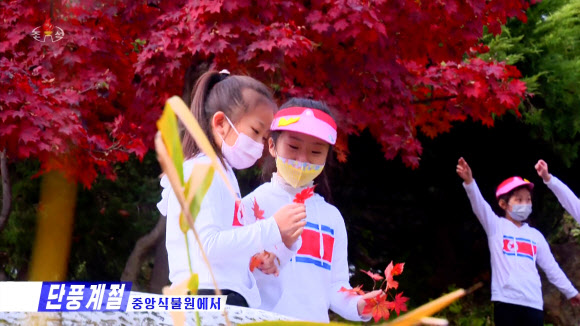 평양 대성산의 가을 풍경