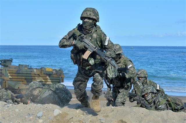 26일 오후 경북 포항시 북구 해안에서 실시된 2022해군·해병대 호국합동상륙훈련에서 KAAV(한국형돌격상륙장갑차)로 적 해안에 상륙한 해병대원들이 해안두보를 확보하고 있다.2022.10.26 뉴스1