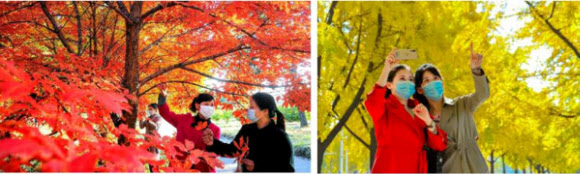 대외선전매체 우리민족끼리는 28일 평양의 가을 풍경을 보도했다. 단풍으로 물든 나무 밑으로 북한 여성들이 걸어가고 있다. 2022.10.28  우리민족끼리 홈페이지 캡처