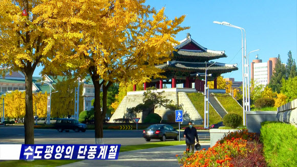 북한 조선중앙TV는 28일 “가을철에 사람들이 제일 먼저 떠올리게 되는 것은 이렇게 단풍이 든 거리의 풍경”이라며 평양의 단풍을 소개했다. 중앙TV는 평양에서 단풍 드는 시기는 10월 중순부터 11월 중순까지이며, 단풍이 제일 보기 좋은 때는 10월 말이라고 전했다. 단풍 든 나무 아래로 마스크를 쓴 평양 주민이 걸어가고 있다.   2022.10.28  조선중앙TV 화면