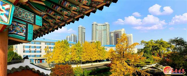 북한 노동당 기관지 노동신문은 28일 “수도의 아름다운 가을 풍경”이라면서 단풍으로 물든 평양 일대의 사진을 공개했다.    평양 노동신문·뉴스1