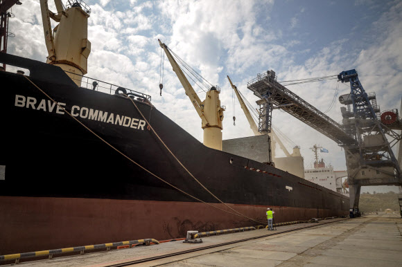 지난 8월 14일(현지시간) 유엔(UN) 선박이 우크라이나 남서부 오데사주에 있는 항구도시 유즈네에서 에티오피아 수출을 위한 곡물을 싣고 있다. AFP 유즈네 연합뉴스